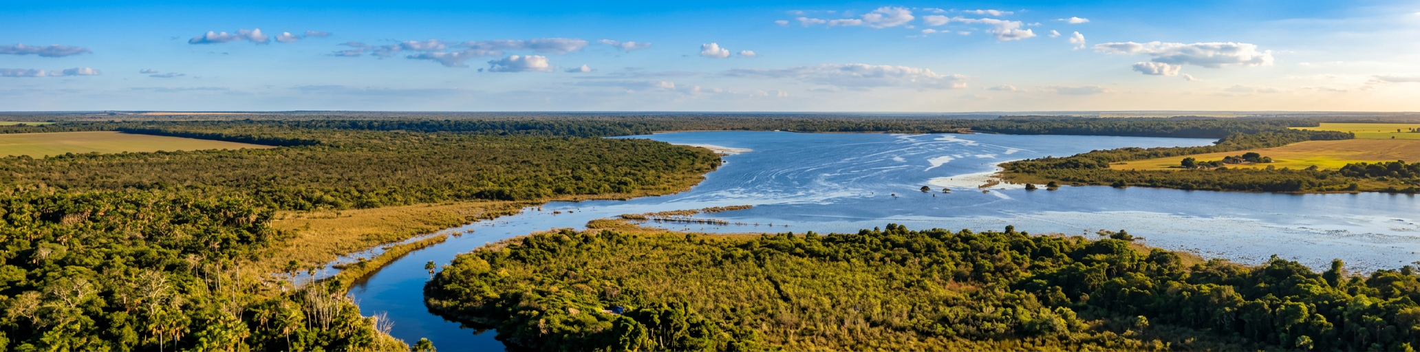 Vista aérea de lagoa e mata nativa em área de empreendimento acompanhado pela Bioberg